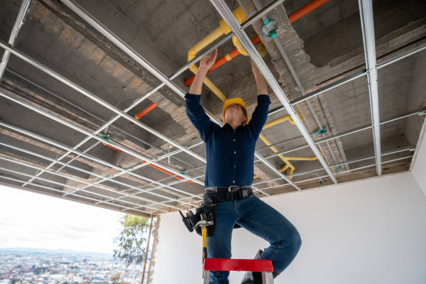 Best Plumbing Services Near Me  in San Antonio, FL